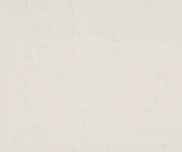 Priya Natural Semi-Sheer Tab Top Curtain Panel, (63") - Image 3