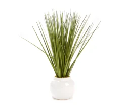 Green Decorative Grass In White Round Pot