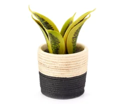 Artificial Succulent In Black & White Braid Resin Pot